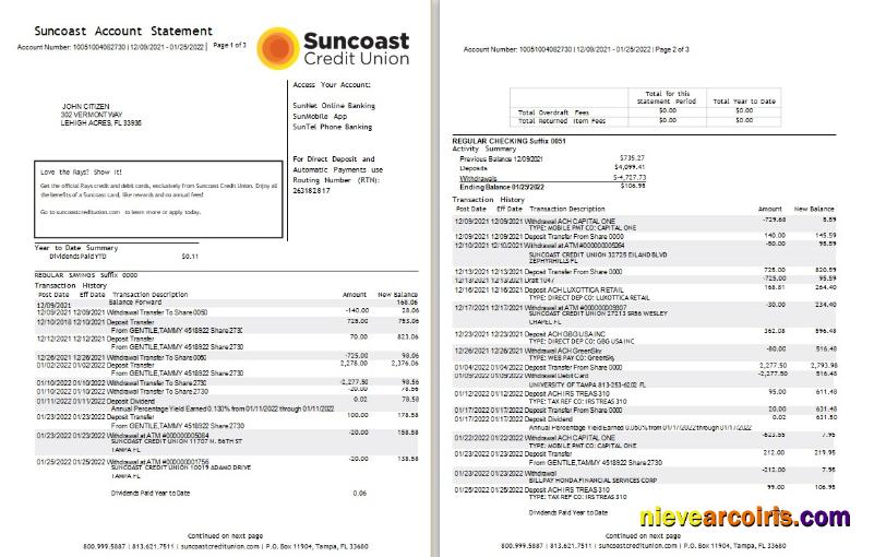 USA Suncoast bank statement Word and PDF, 3 pages